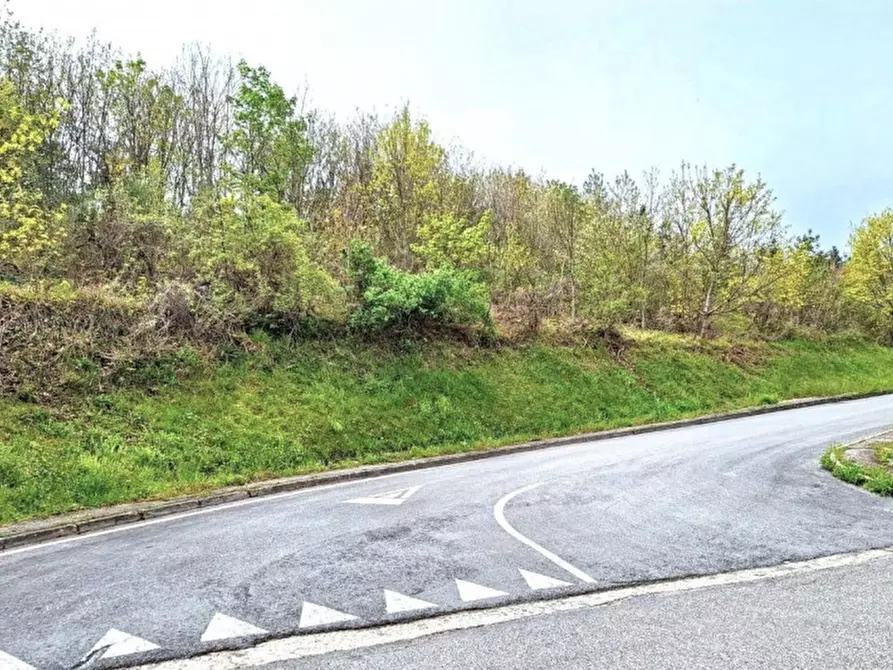 Immagine 3 di Terreno in vendita  in Via Trentavisi, N. Snc a Cingoli