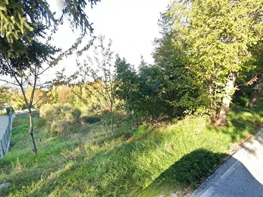 Immagine 4 di Terreno in vendita  in Via Trentavisi, N. Snc a Cingoli