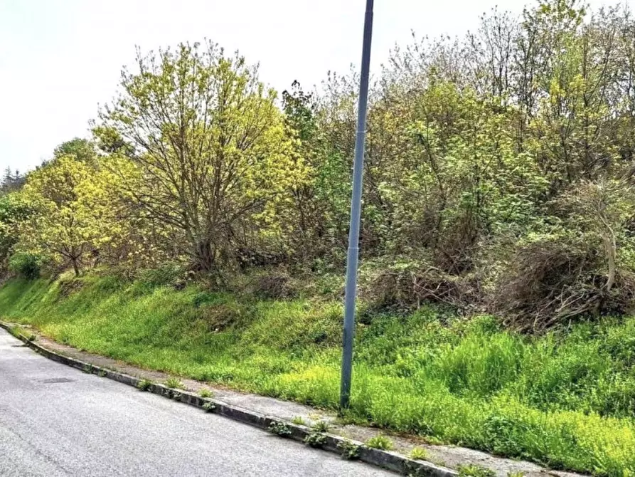 Immagine 5 di Terreno in vendita  in Via Trentavisi, N. Snc a Cingoli