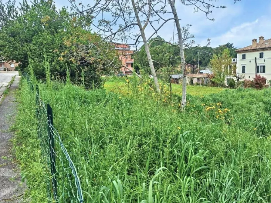 Immagine 4 di Terreno in vendita  in Via Paolo Borsellino, N. Snc a Appignano