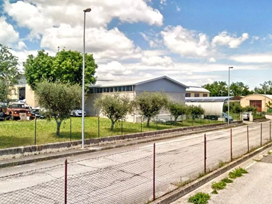 Immagine 4 di Capannone industriale in vendita  in Via Pirandello, N. 13 a Cingoli