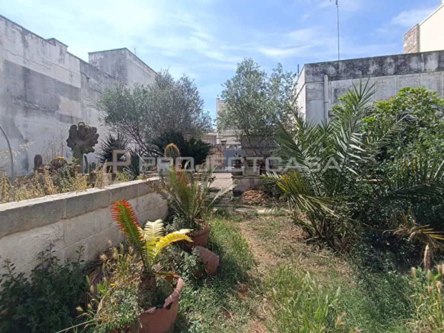 Immagine 4 di Casa indipendente in vendita  in Via Galatina 78 a Soleto