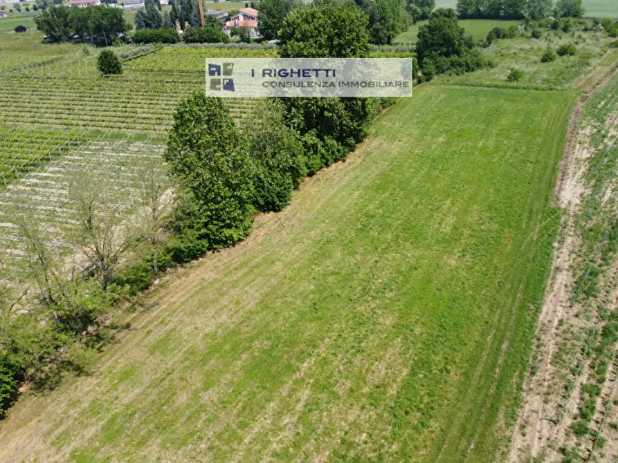 Immagine 2 di Terreno in vendita  in Via Paolonga a Castelnuovo Del Garda
