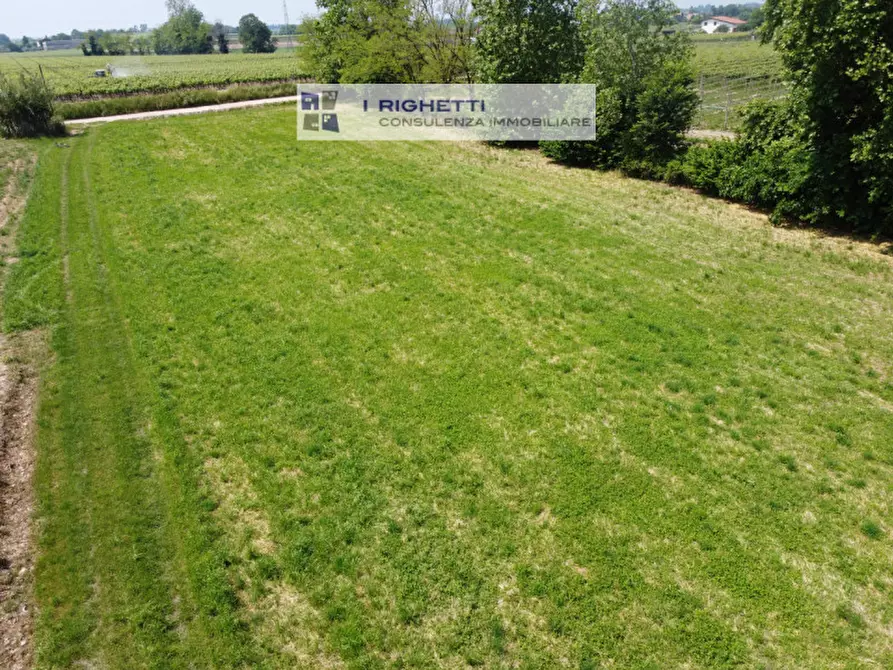 Immagine 3 di Terreno in vendita  in Via Paolonga a Castelnuovo Del Garda