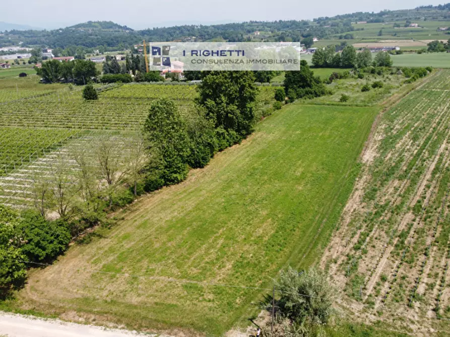 Immagine 4 di Terreno in vendita  in Via Paolonga a Castelnuovo Del Garda
