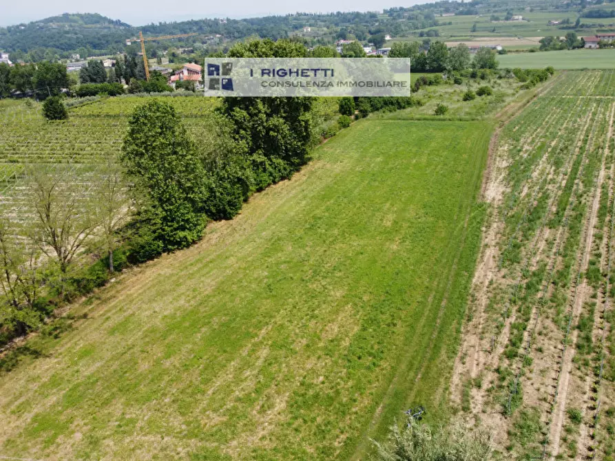 Immagine 5 di Terreno in vendita  in Via Paolonga a Castelnuovo Del Garda