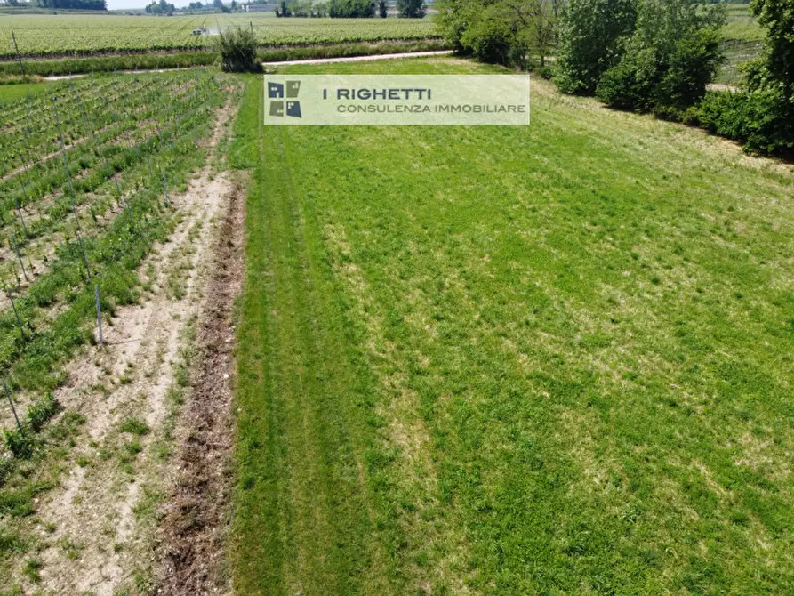 Immagine 6 di Terreno in vendita  in Via Paolonga a Castelnuovo Del Garda