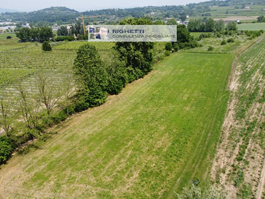 Immagine 8 di Terreno in vendita  in Via Paolonga a Castelnuovo Del Garda