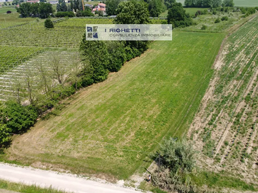 Immagine 11 di Terreno in vendita  in Via Paolonga a Castelnuovo Del Garda
