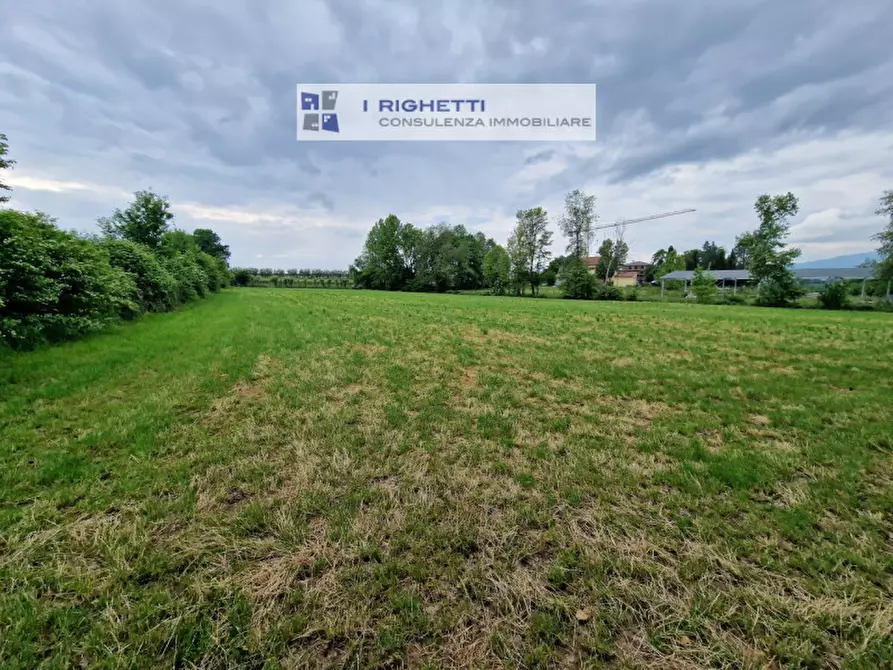 Immagine 12 di Terreno in vendita  in Via Paolonga a Castelnuovo Del Garda