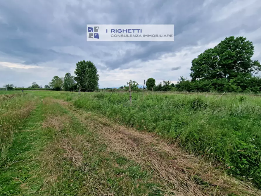 Immagine 13 di Terreno in vendita  in Via Paolonga a Castelnuovo Del Garda