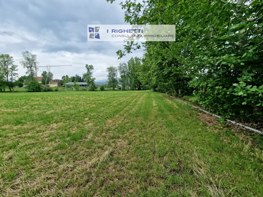 Immagine 15 di Terreno in vendita  in Via Paolonga a Castelnuovo Del Garda