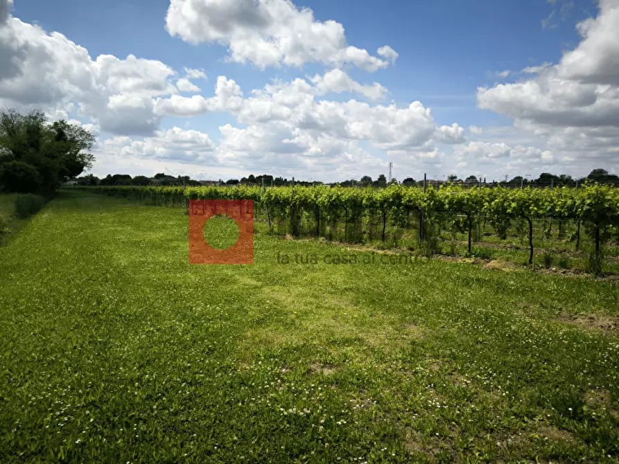 Immagine 2 di Terreno in vendita  in cendon a Silea