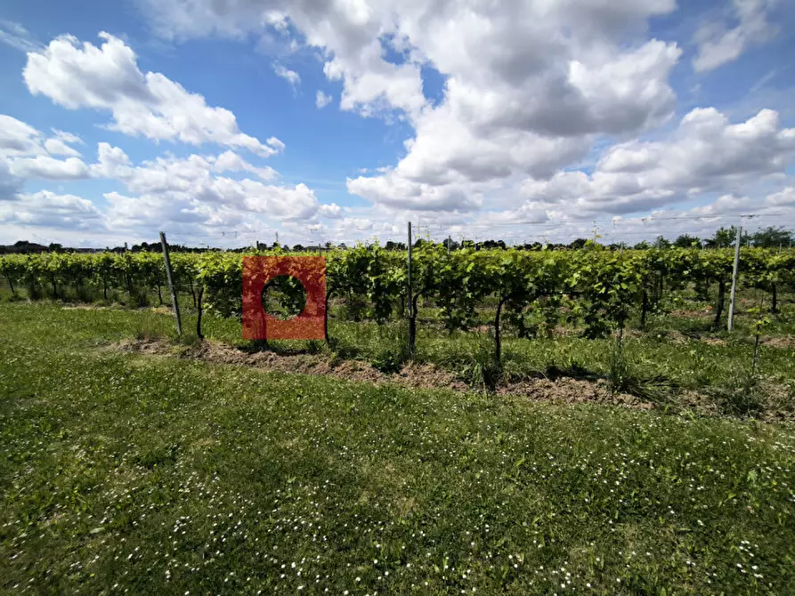 Immagine 3 di Terreno in vendita  in cendon a Silea