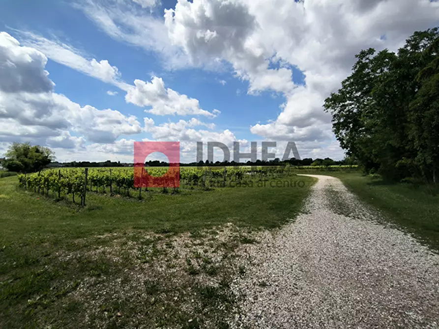 Immagine 4 di Terreno in vendita  in cendon a Silea