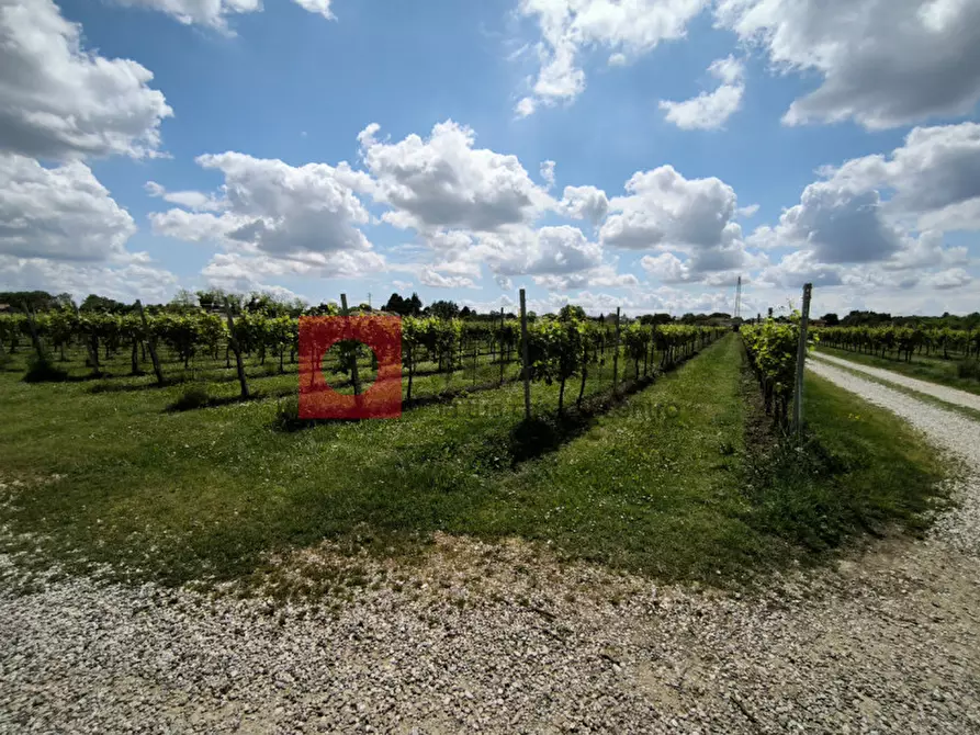 Immagine 5 di Terreno in vendita  in cendon a Silea