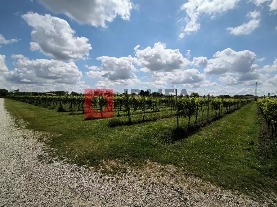 Immagine 6 di Terreno in vendita  in cendon a Silea