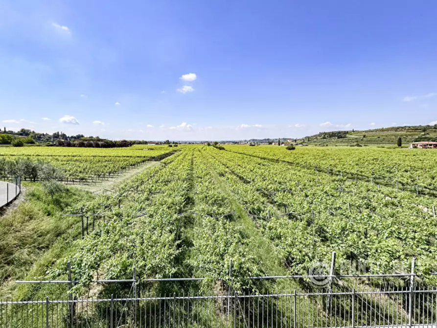 Immagine 34 di Appartamento in vendita  a Negrar di Valpolicella