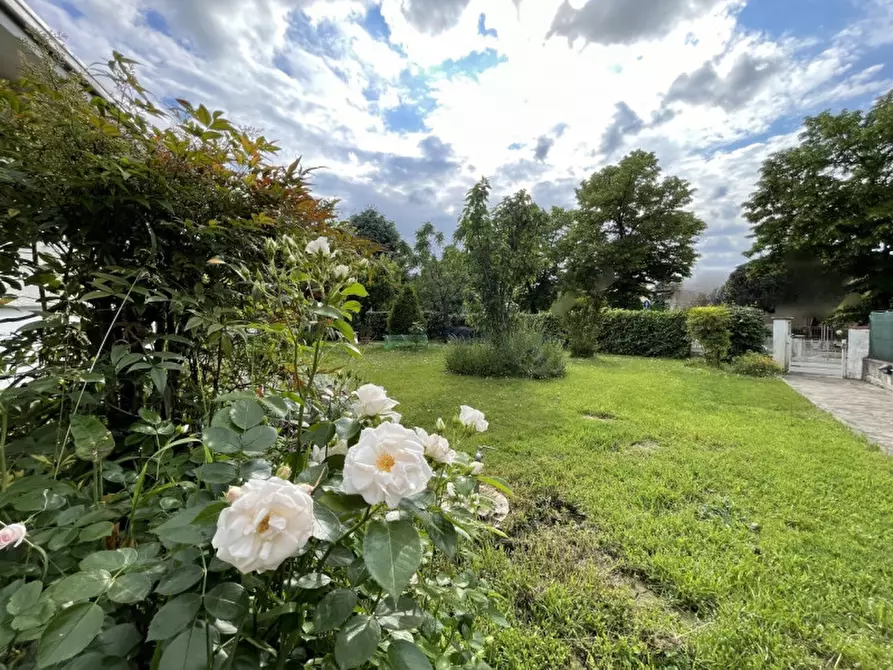 Immagine 35 di Casa bifamiliare in vendita  a Suzzara