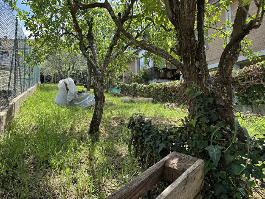 Immagine 4 di Appartamento in vendita  in Via Augusto Murri, 76 a Terni