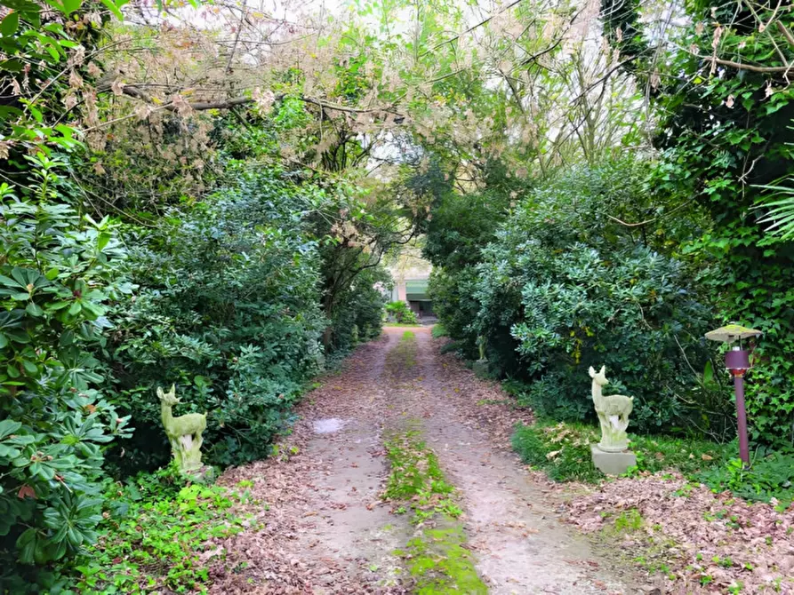 Immagine 25 di Villa in vendita  in Via del Mare, 4591-4593 a Loreo