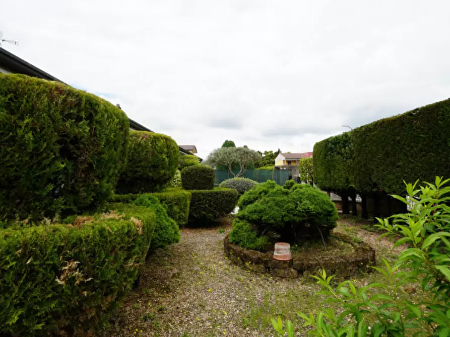 Immagine 5 di Villa in vendita  a Arcole