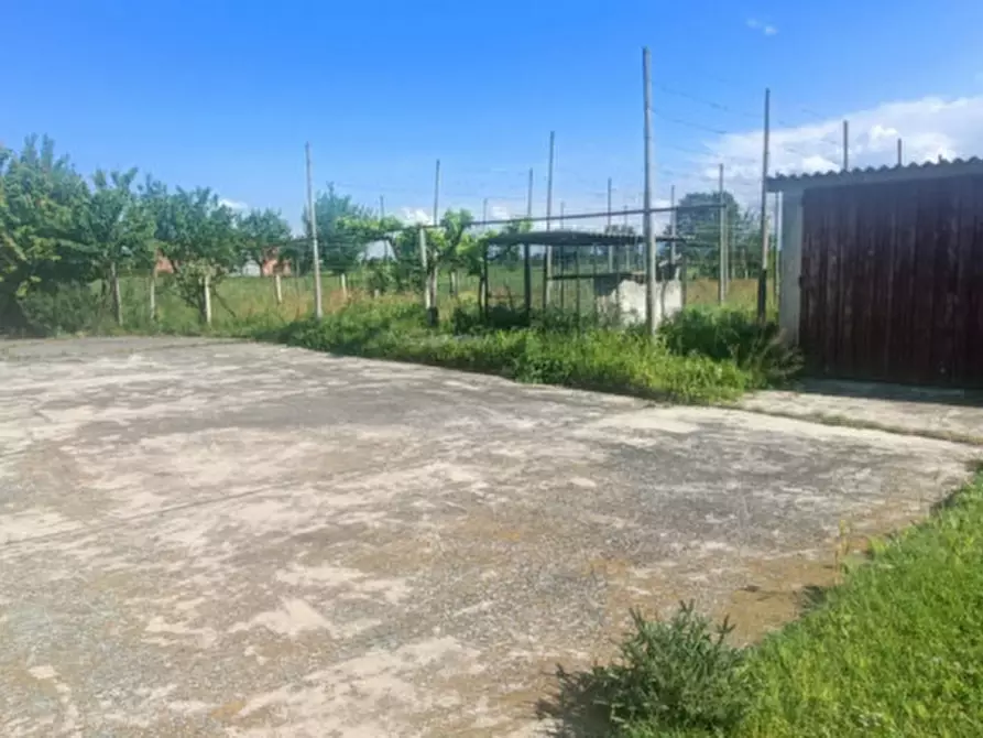 Immagine 2 di Casa indipendente in vendita  in Via Bardello a Boretto