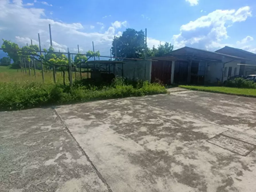 Immagine 3 di Casa indipendente in vendita  in Via Bardello a Boretto