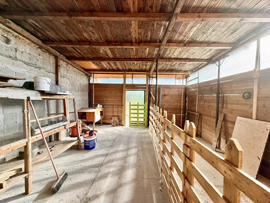 Immagine 15 di Casa indipendente in vendita  in via bertolde a Pressana