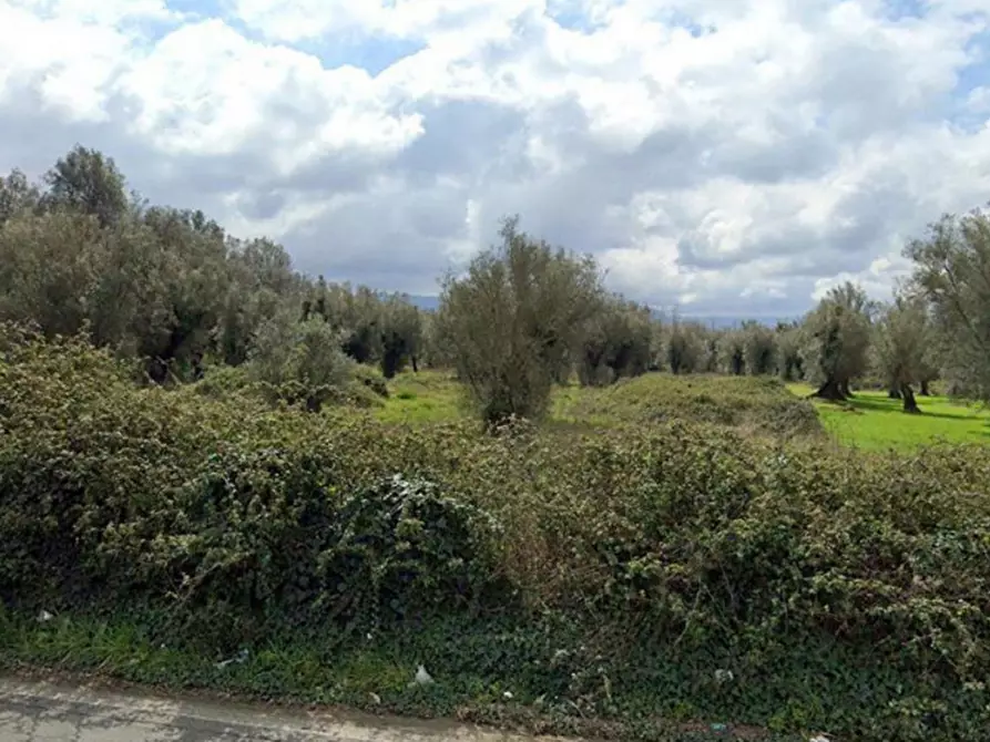 Immagine 1 di Terreno in vendita  in Strada Provinciale 1 di Gioia Tauro e Locri, Taurianova RC, Italia, Località Ascone a Cittanova