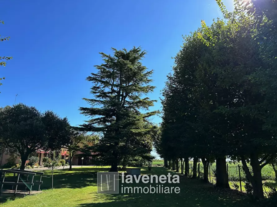 Immagine 26 di Casa indipendente in vendita  in via Casera 37 a Musile Di Piave