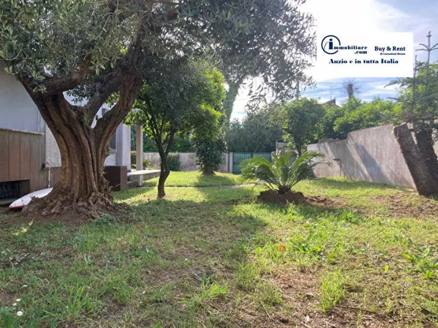 Immagine 30 di Casa bifamiliare in vendita  in Via Parigi a Anzio