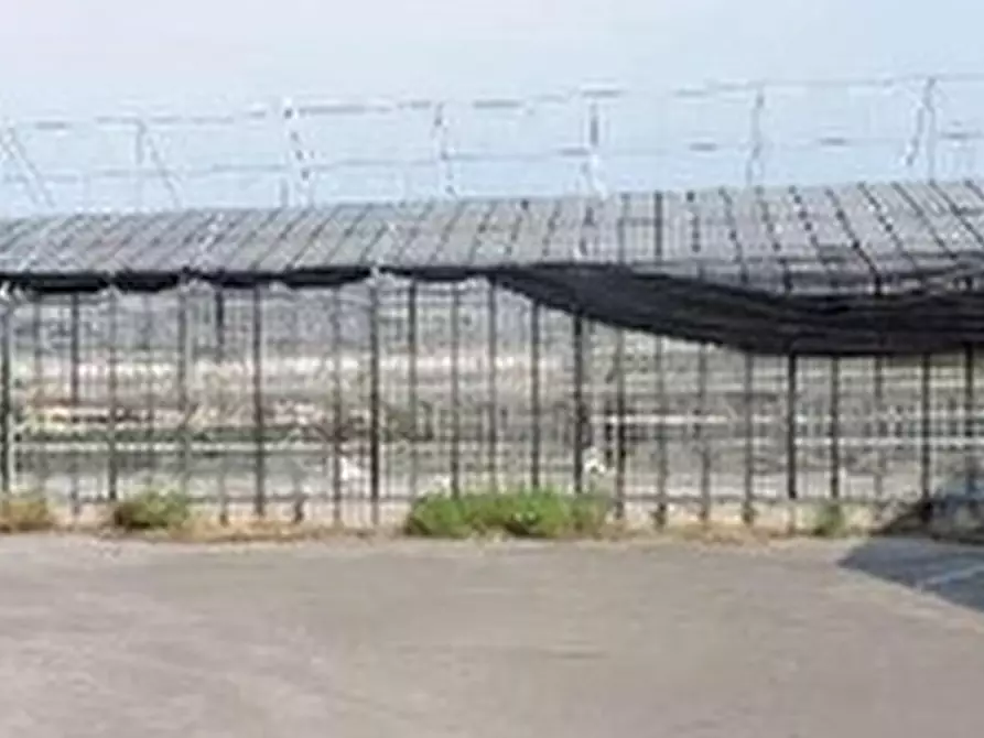 Immagine 54 di Capannone industriale in vendita  in VIA TOFFANELLE NUOVE 46 a Zevio