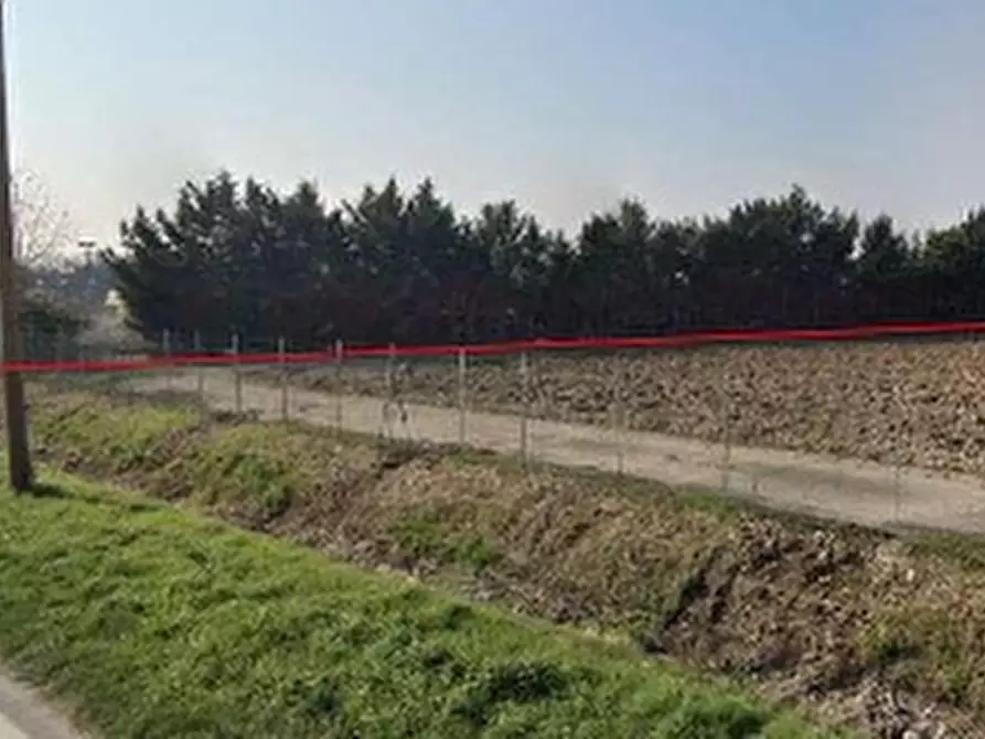 Immagine 61 di Capannone industriale in vendita  in VIA TOFFANELLE NUOVE 46 a Zevio