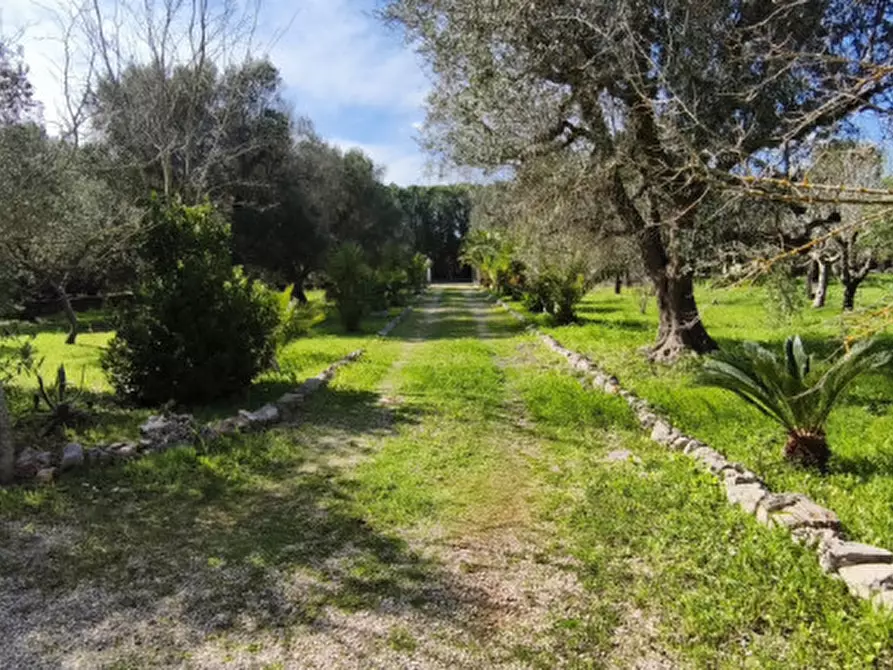 Immagine 28 di Rustico / casale in vendita  in LYOS a Ostuni
