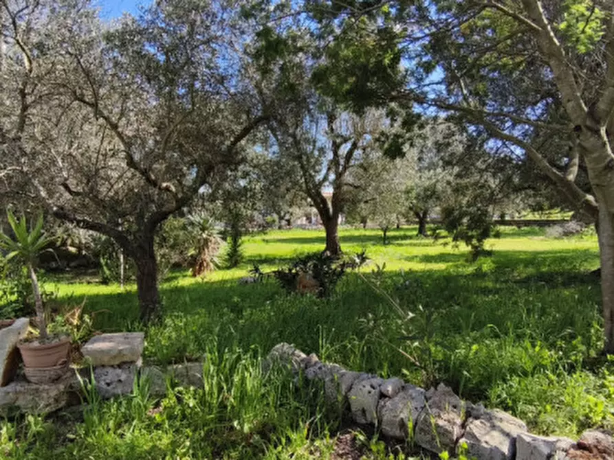 Immagine 29 di Rustico / casale in vendita  in LYOS a Ostuni
