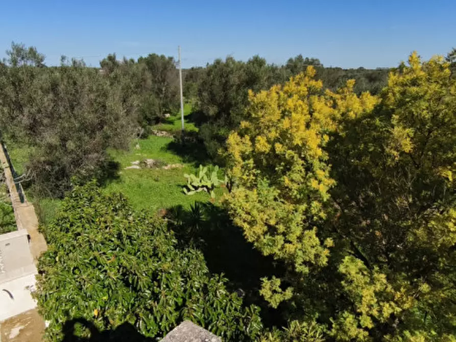 Immagine 31 di Rustico / casale in vendita  in LYOS a Ostuni
