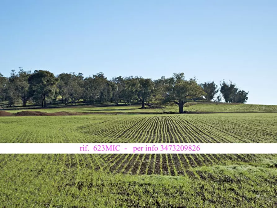 Immagine 1 di Terreno in vendita  in Via Monte Grappa a Vedelago
