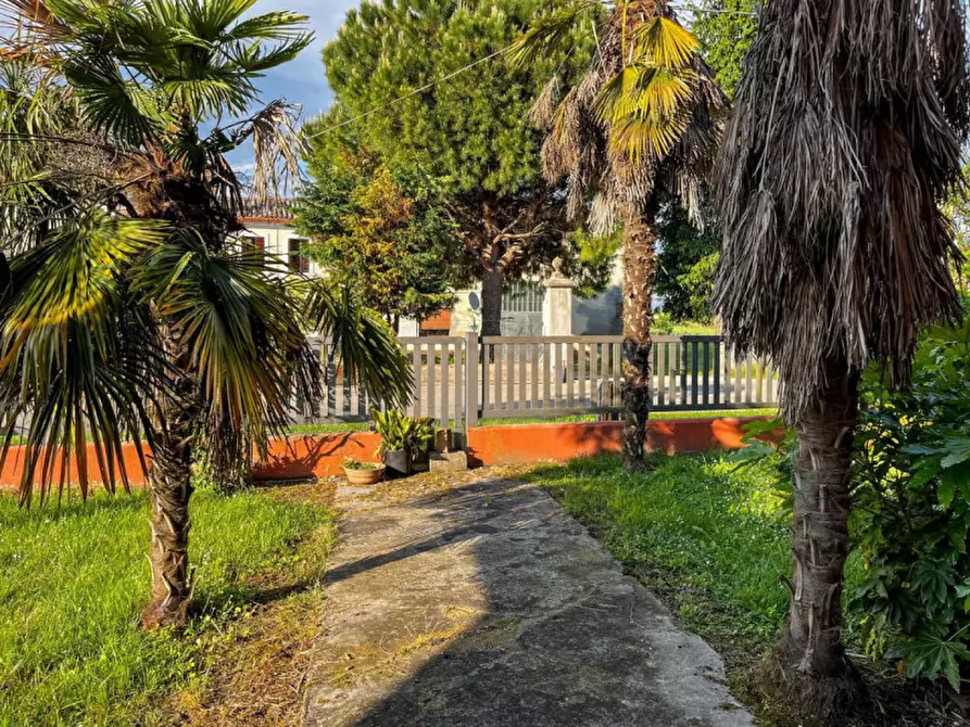Immagine 16 di Casa indipendente in vendita  in Via Altaura Vallarana a Casale Di Scodosia