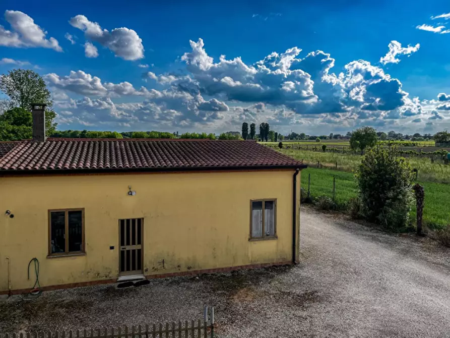 Immagine 22 di Casa indipendente in vendita  in Via Altaura Vallarana a Casale Di Scodosia