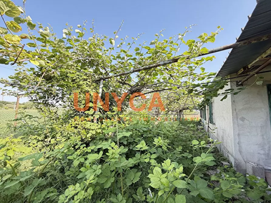 Immagine 24 di Casa trifamiliare in vendita  in Via Brazze a Verona