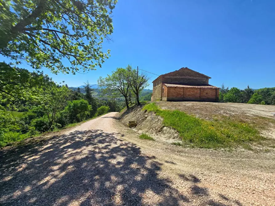 Immagine 3 di Rustico / casale in vendita  in Località Baciuccaro a Sant'angelo In Vado