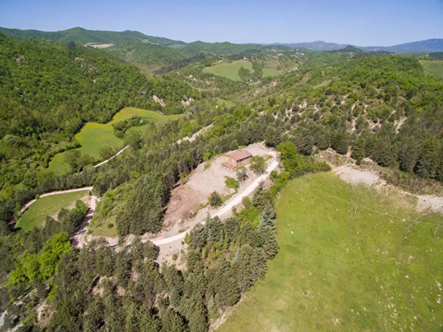 Immagine 7 di Rustico / casale in vendita  in Località Baciuccaro a Sant'angelo In Vado