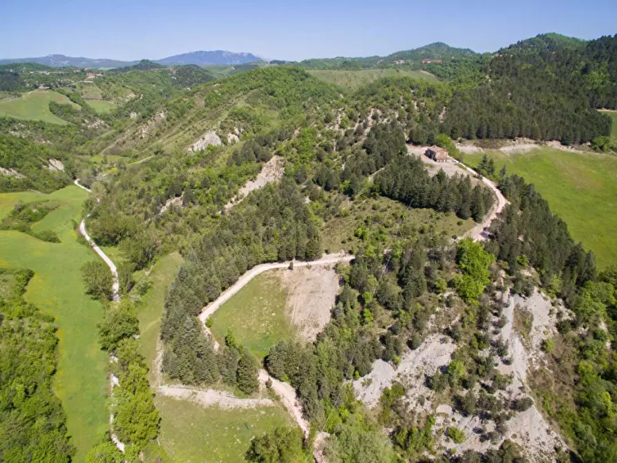 Immagine 8 di Rustico / casale in vendita  in Località Baciuccaro a Sant'angelo In Vado