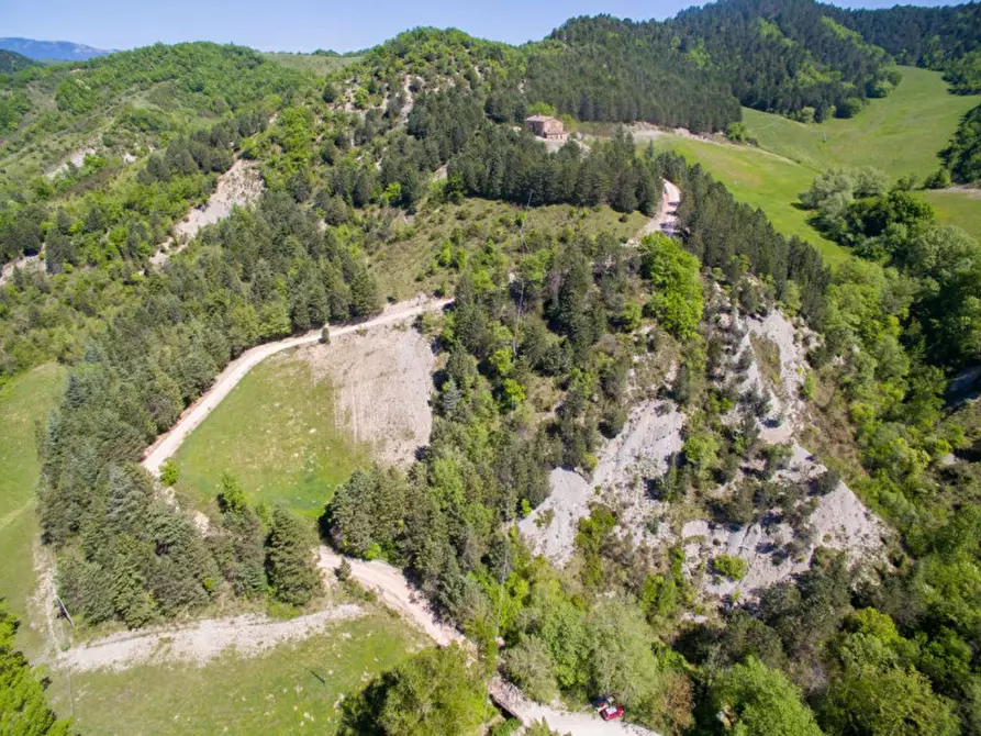 Immagine 9 di Rustico / casale in vendita  in Località Baciuccaro a Sant'angelo In Vado