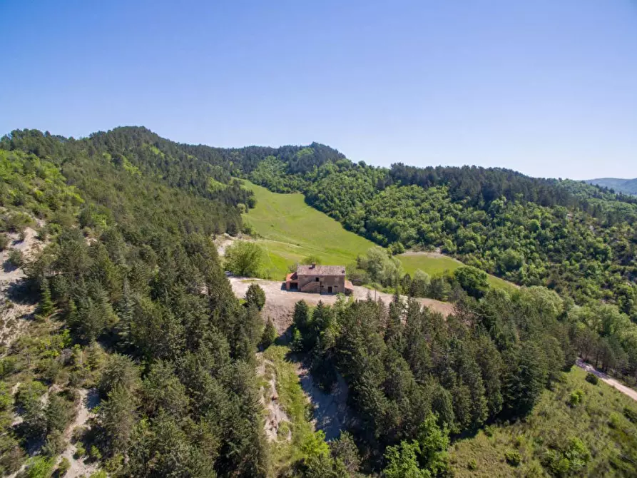 Immagine 10 di Rustico / casale in vendita  in Località Baciuccaro a Sant'angelo In Vado