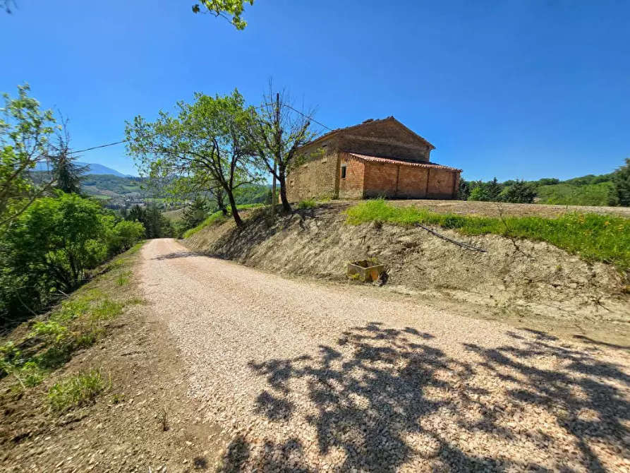 Immagine 11 di Rustico / casale in vendita  in Località Baciuccaro a Sant'angelo In Vado