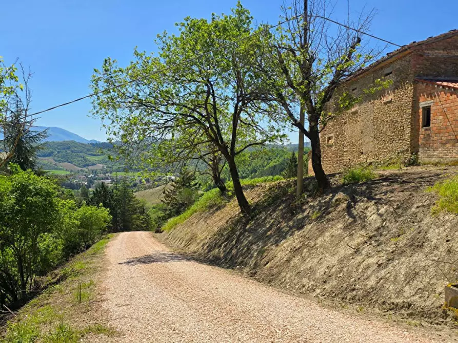 Immagine 12 di Rustico / casale in vendita  in Località Baciuccaro a Sant'angelo In Vado