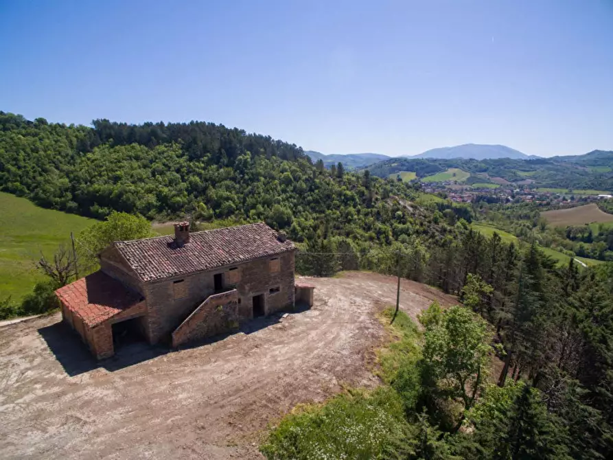 Immagine 15 di Rustico / casale in vendita  in Località Baciuccaro a Sant'angelo In Vado