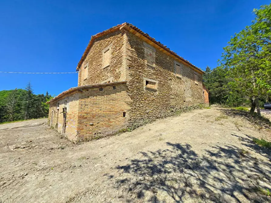 Immagine 17 di Rustico / casale in vendita  in Località Baciuccaro a Sant'angelo In Vado